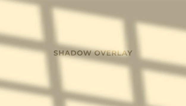 Vetor ilustração de fundo de sobreposição de sombra de janela