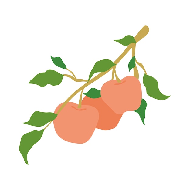 Ilustração de galho de maçã de fruta isolada em fundo branco maçãs desenhadas à mão penduradas no galho