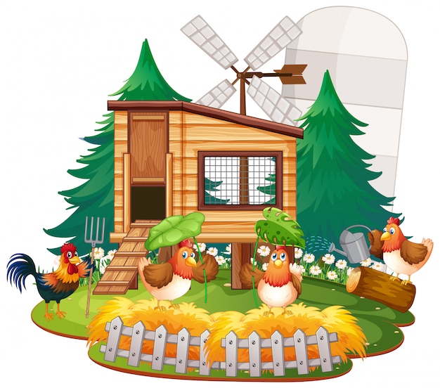 Vetor ilustração de galinheiro com galinhas