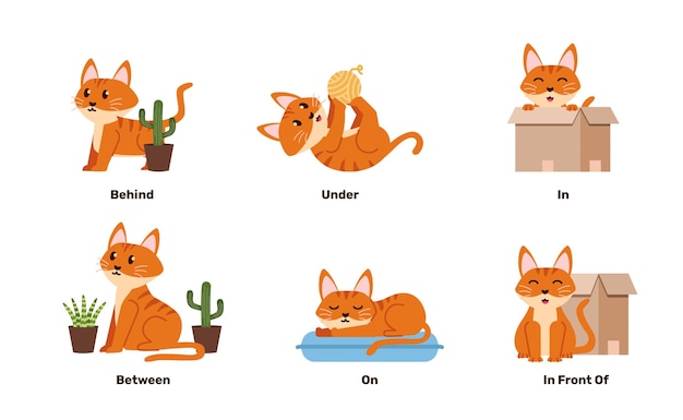 Ilustração de gato bonito várias poses para aprender língua estrangeira em preposição para criança para se divertir e brincar