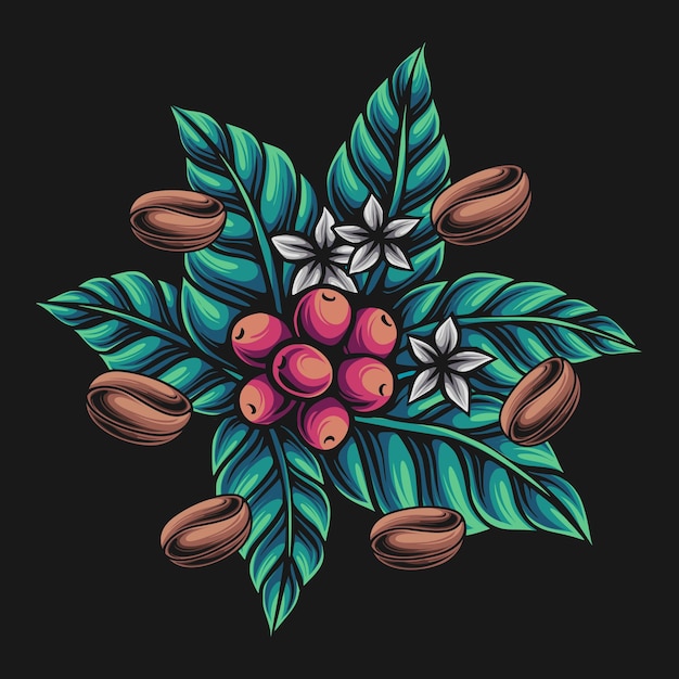 Ilustração de grãos de café e frutas vermelhas