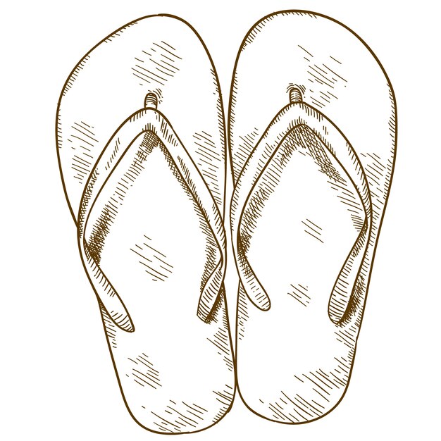 Ilustração de gravura de flip-flops