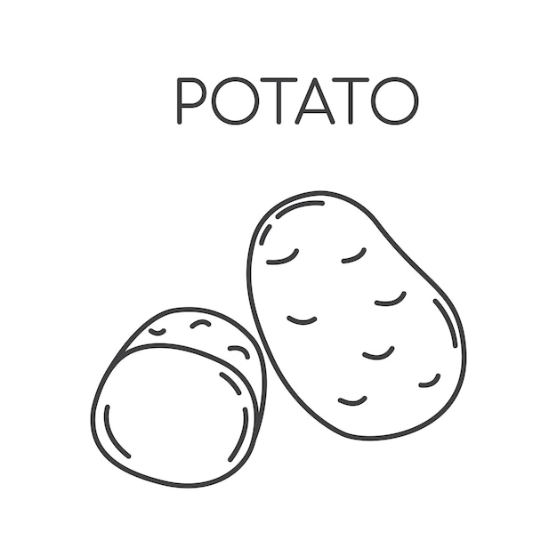 Vetor ilustração de ícones de linha de legumes de batata