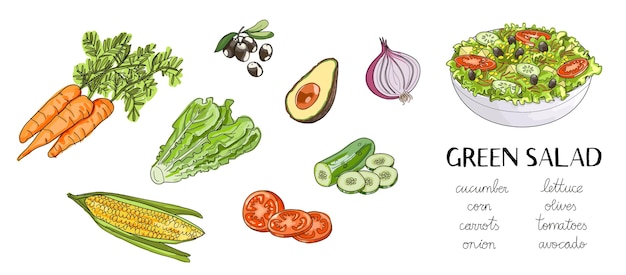 Vetor ilustração de ingredientes de salada verde mão desenhada