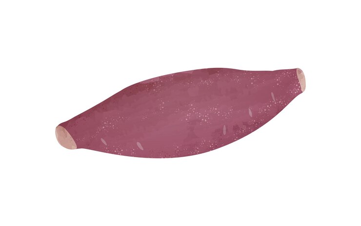 Vetor ilustração de ingredientes estilo aquarela transparente de batata-doce
