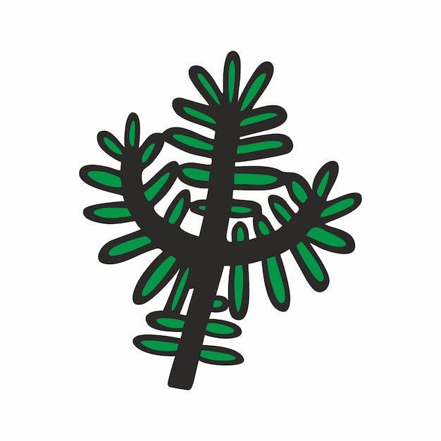Ilustração de inverno desenhada à mão de galho de pinheiro ramo de abeto de abeto conifer desenho floral bonito simples