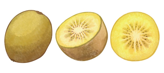 Ilustração de kiwi amarelo