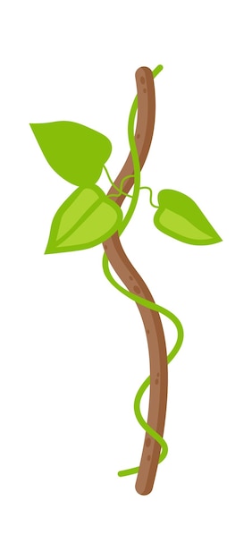 Vetor ilustração de liana com folhas planas