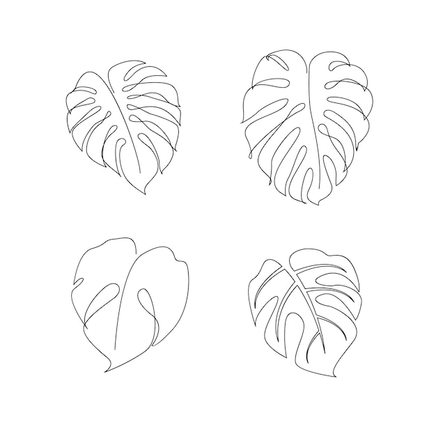 Vetor ilustração de linha contínua de monstera