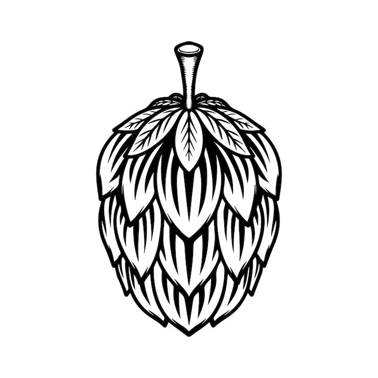 Vetor ilustração de lúpulo de cerveja em fundo branco elemento de design para sinal de emblema de rótulo de logotipo ilustração vetorial