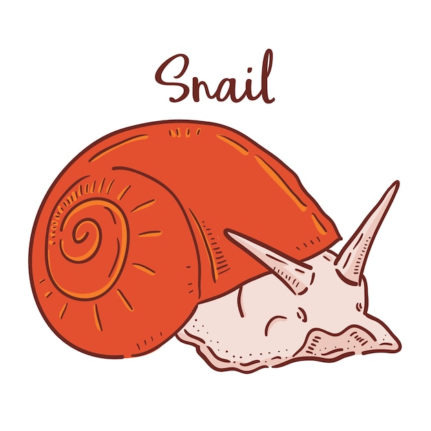 Ilustração de mão desenhada de caracol.