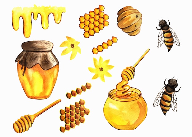 Ilustração de mel e abelhas Clipart em aquarela