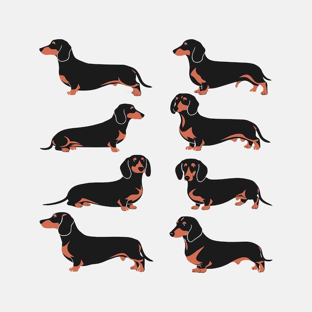 Ilustração de modelo vetorial de animais de silhueta de cachorro Dachshund