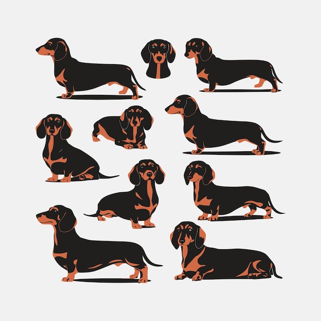 Ilustração de modelo vetorial de animais de silhueta de cachorro Dachshund