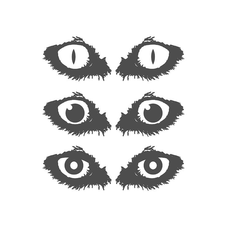 Vetor ilustração de olho de animal para gato, águia, tigre, coruja ou lobo