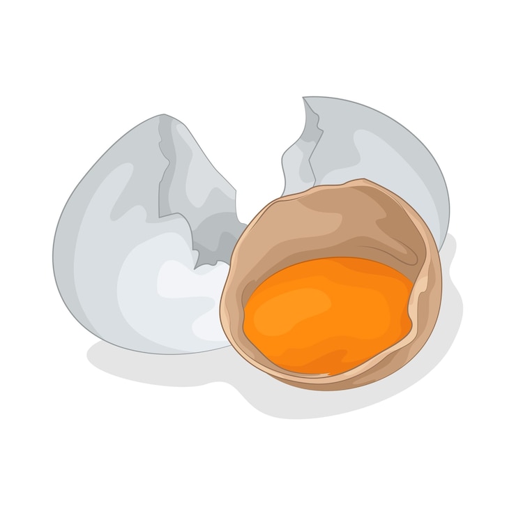Vetor ilustração de ovo
