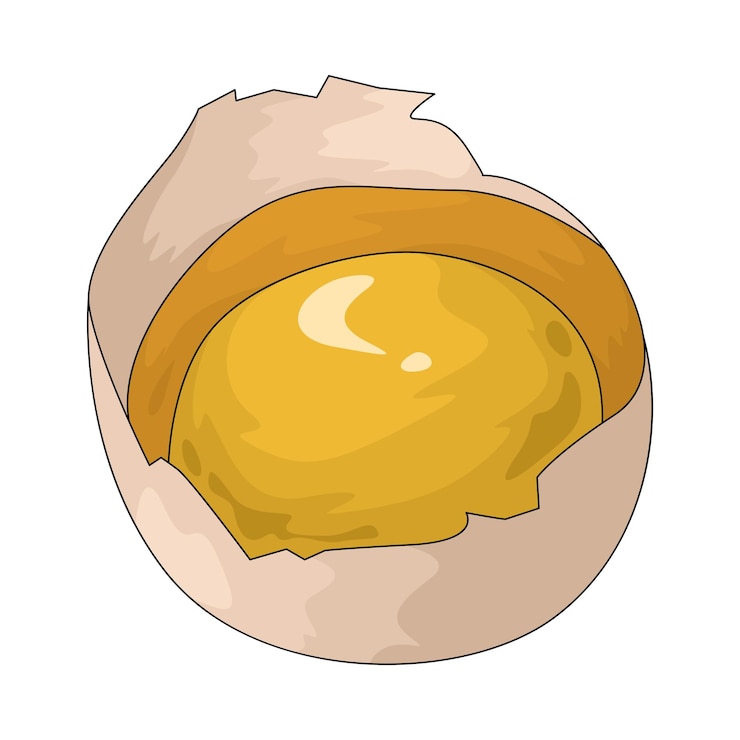 Vetor ilustração de ovo