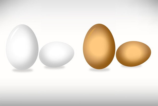 Vetor ilustração de ovos