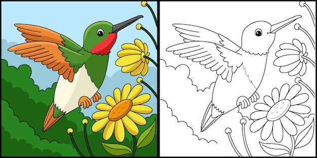 Ilustração de página para colorir animal beija-flor