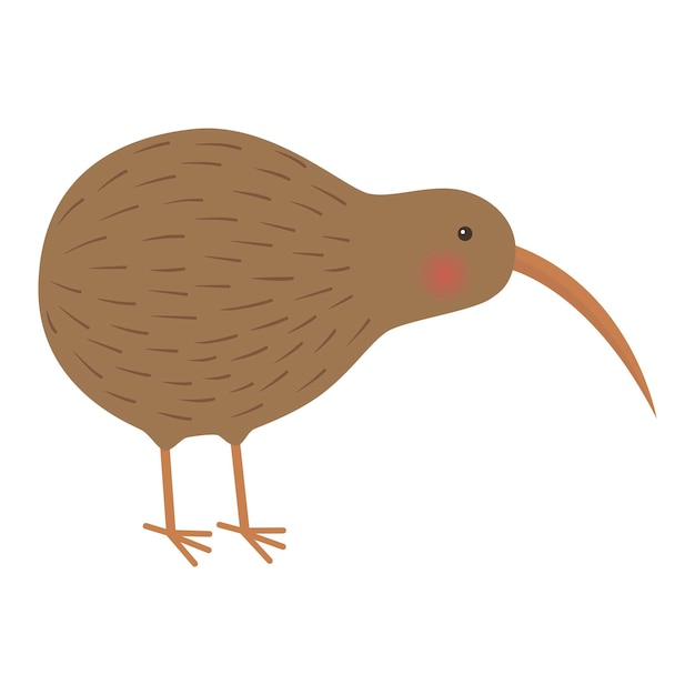 Ilustração de pássaro kiwi