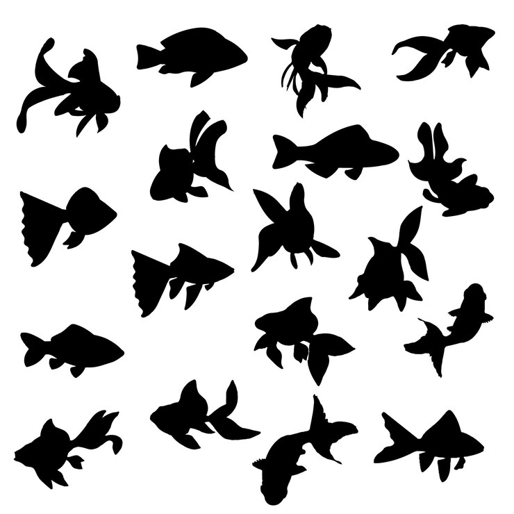 Vetor ilustração de peixe-dourado peixe-dorado bonito arquivos vetoriais de eps peixe-ourado design de pacote peixe de aquário