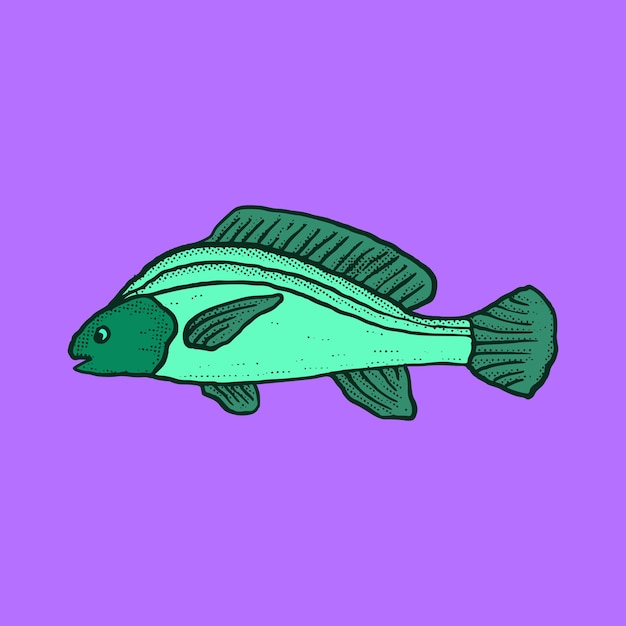 Ilustração de peixe mão desenhada cartoon colorido estilo vintage vetor