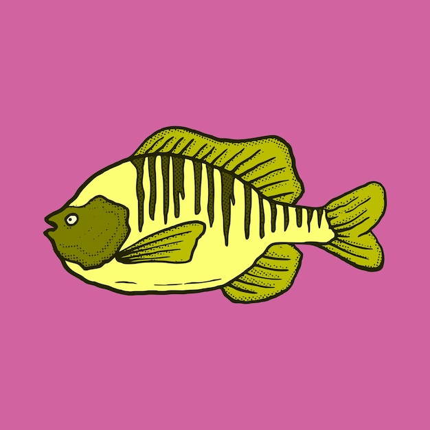 Ilustração de peixe mão desenhada cartoon colorido estilo vintage vetor