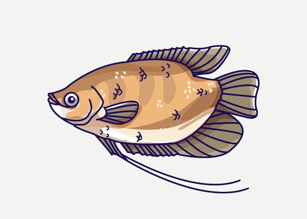 Ilustração de peixes de água doce de gourami.