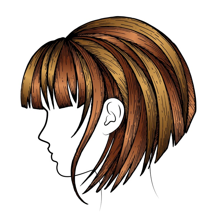 Vetor ilustração de penteado feminino