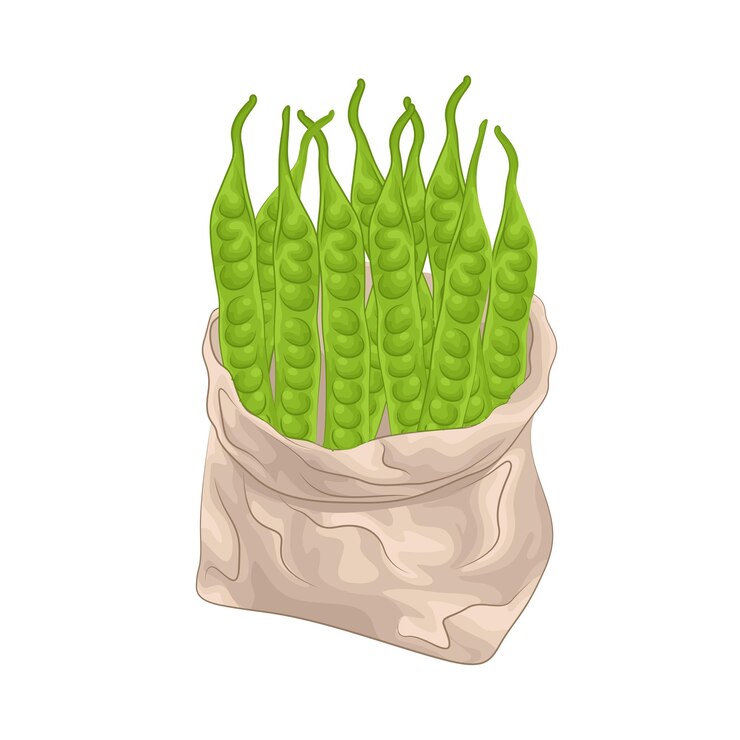 Vetor ilustração de petai