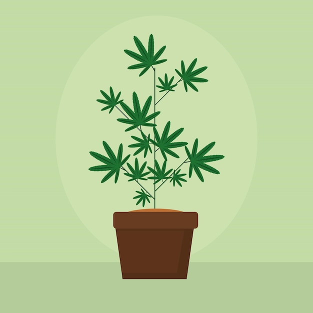 Ilustração de planta de cannabis