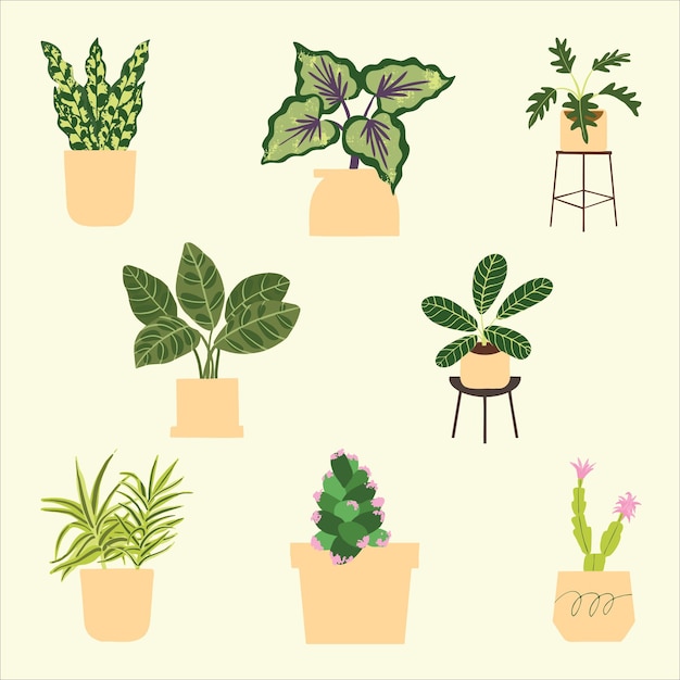 Ilustração de planta em vaso interior. Decoração de casa. Folhas tropicais em vasos e plantadores elegantes.