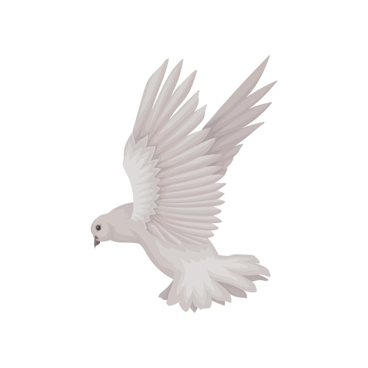Vetor ilustração de pomba cinzenta em ação voadora vista lateral pássaro com asas abertas tema da fauna elemento gráfico para convite ou cartão de saudação ícone vetorial em estilo plano isolado em fundo branco