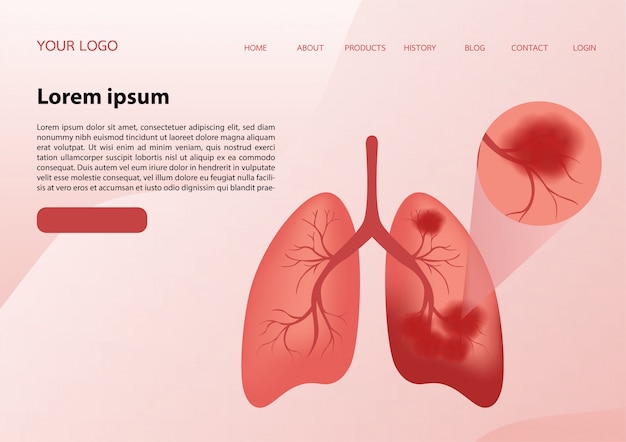 Ilustração de pulmões de uma forma muito profissional