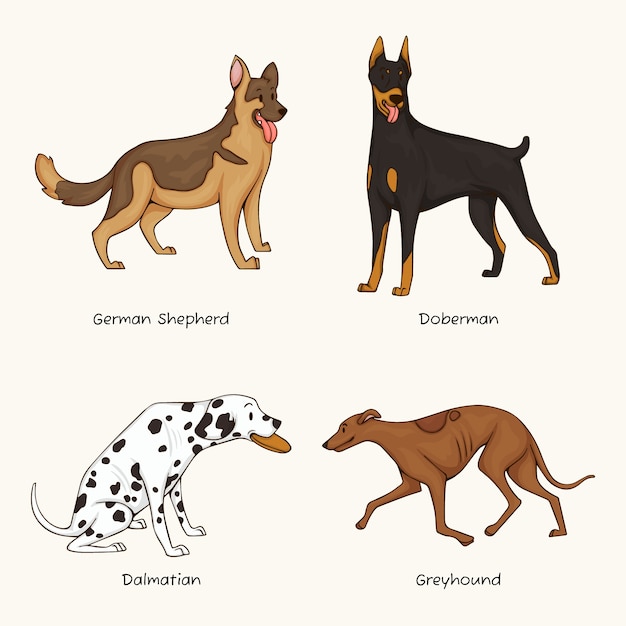 Vetor ilustração de raças de cães desenhadas à mão