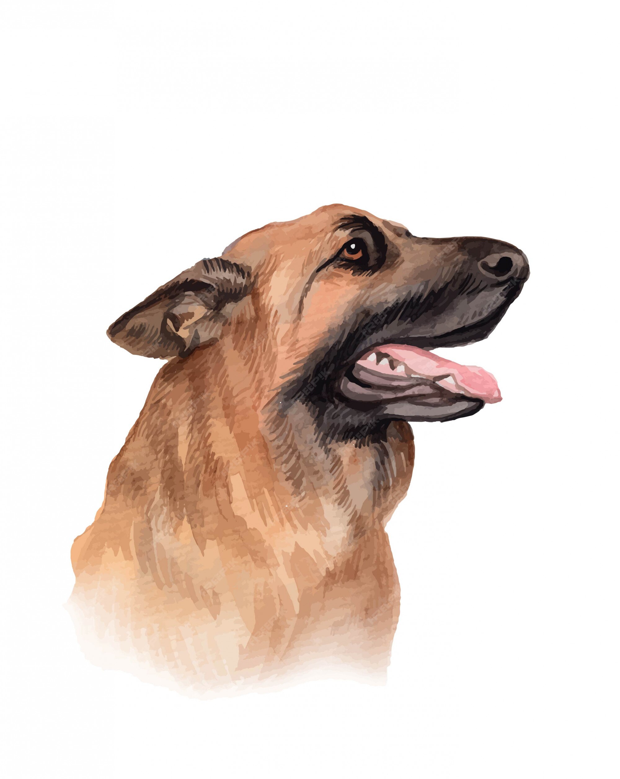 Pintura em aquarela minimalista de um cão pastor inglês antigo em