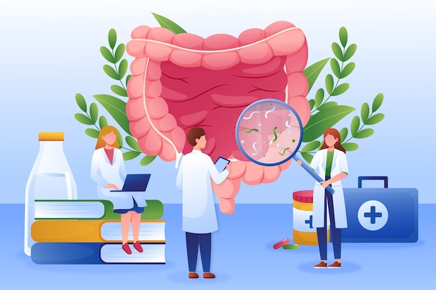 Ilustração de saúde intestinal gradiente