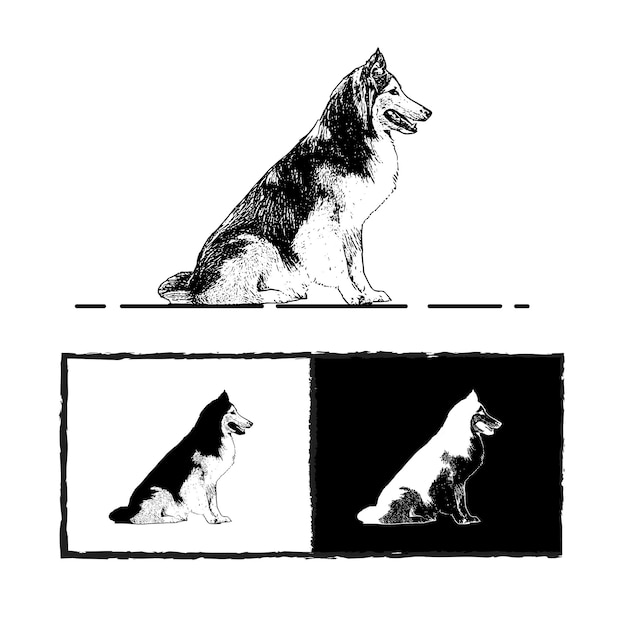 Vetor ilustração de silhueta de cão graciosa e majestosa