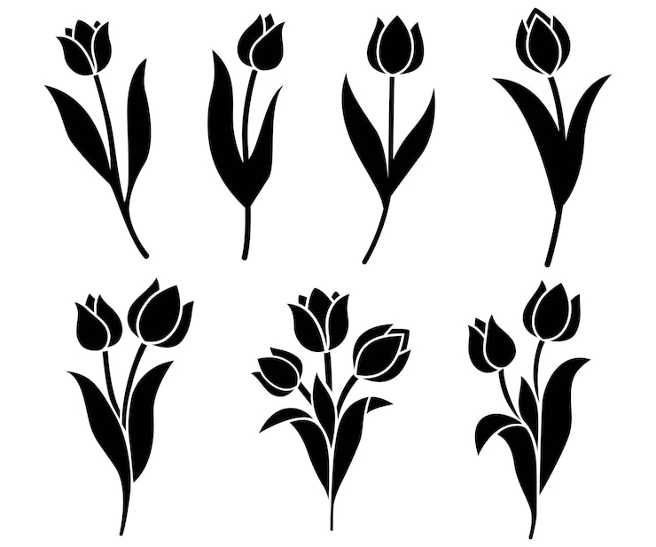 Vetor ilustração de silhueta de contorno de flores da coleção de tulipas isolada em branco