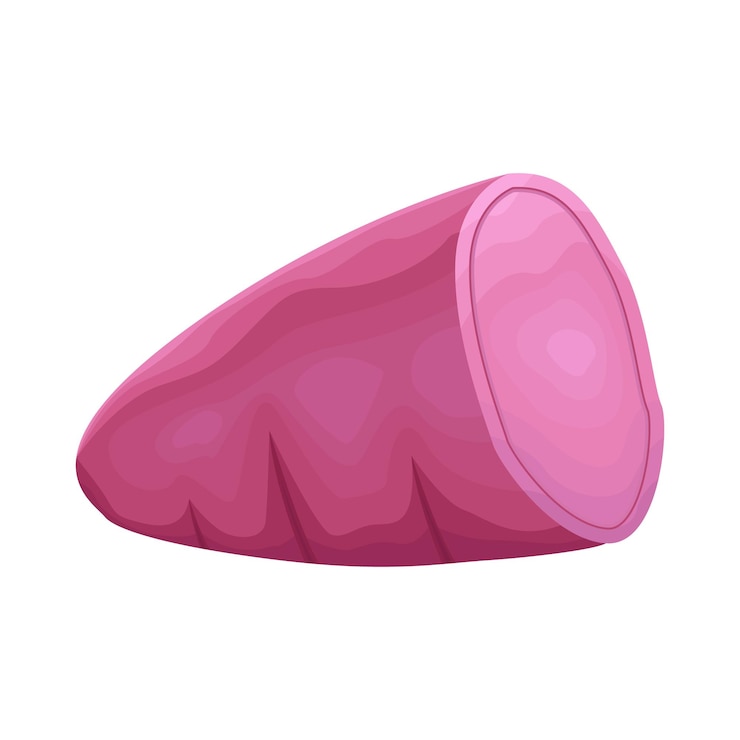 Vetor ilustração de taro
