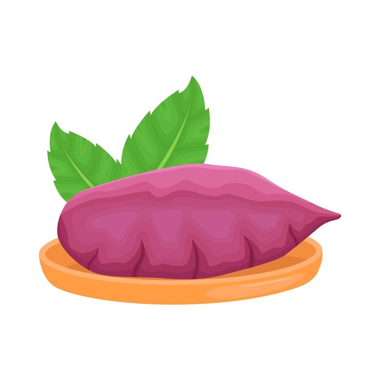Vetor ilustração de taro