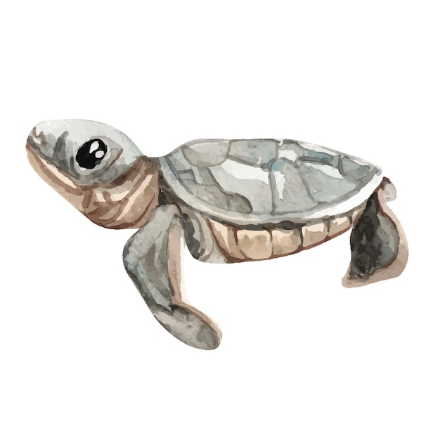 Ilustração de tartaruga em aquarela para crianças