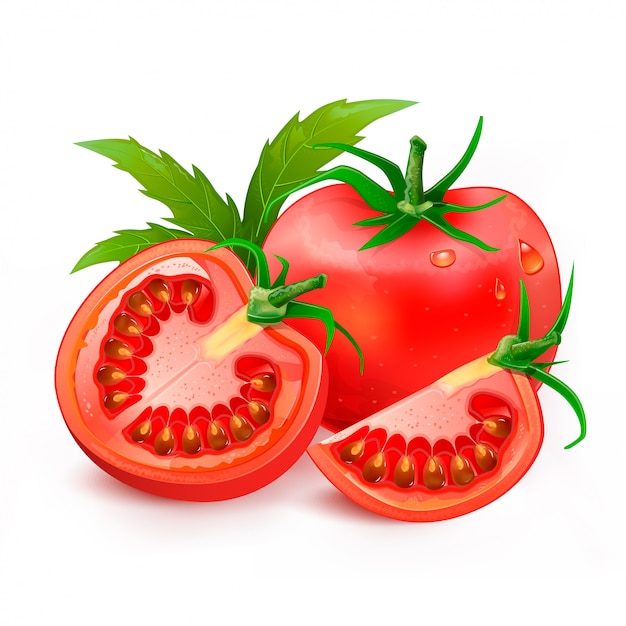 Ilustração de tomate