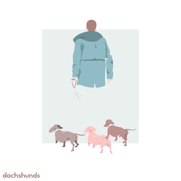 Vetor ilustração de três dachshunds