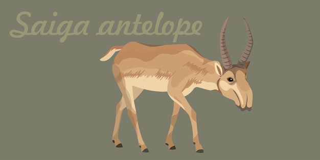 Vetor ilustração de um antílope saiga caminhando agachado animal raro e único