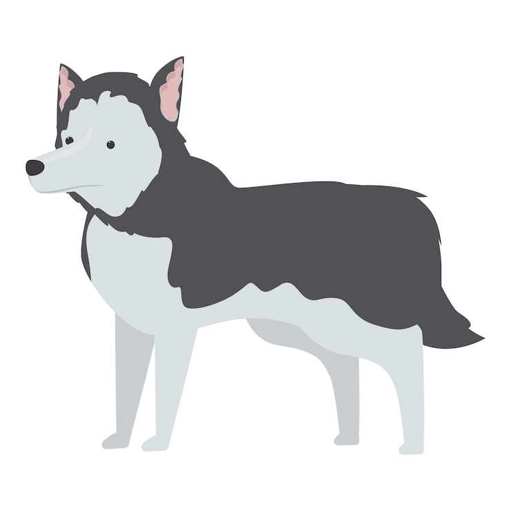 Vetor ilustração de um belo cão husky siberiano em pé