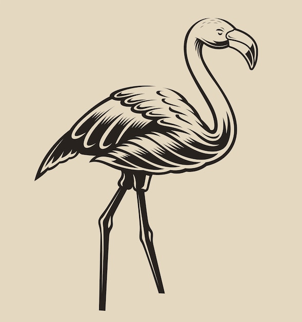 Ilustração de um flamingo. elemento para