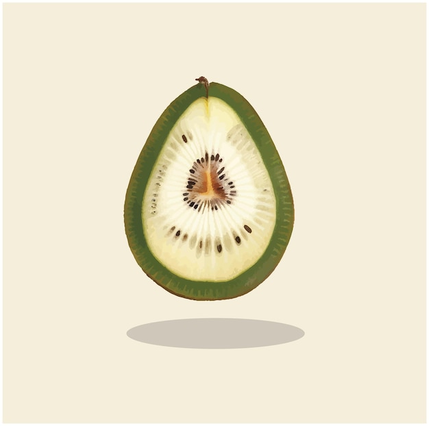 Ilustração de um kiwi