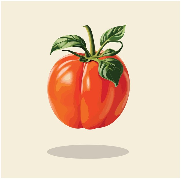 Vetor ilustração de um tomate 03