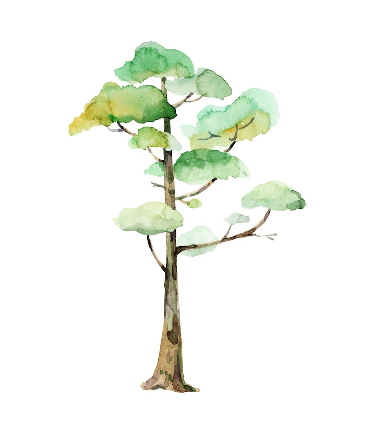 Vetor ilustração de uma árvore de aquarela com uma coroa verde